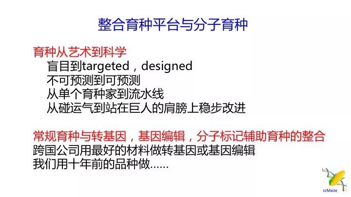 揭秘新澳精准资料背后的风险与挑战，警惕违法犯罪行为的紧迫性