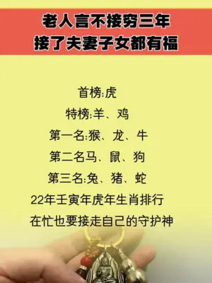 解读生肖鼠的智慧与词语深意，有备无患的智慧启示