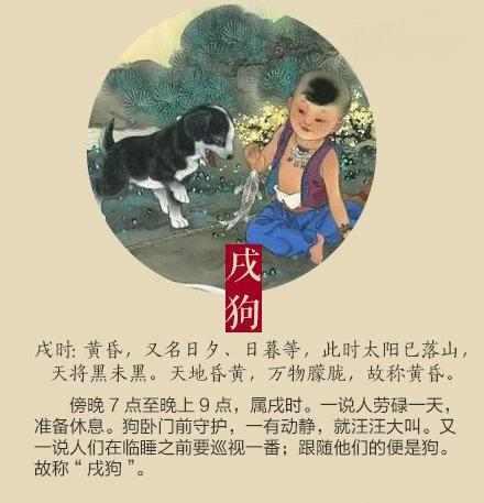 古色天香与生肖之谜，探寻词汇背后的故事与生肖动物猜谜之旅