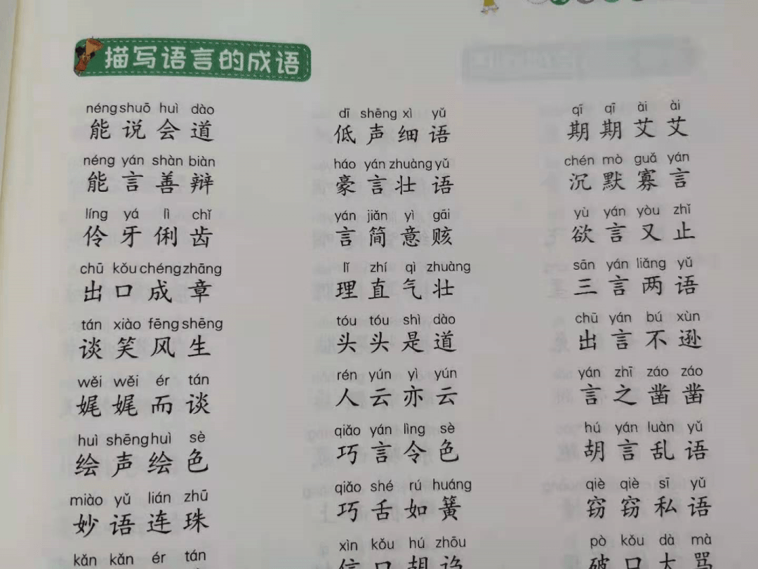 揭秘肥头大耳的生肖动物与词语释义的奥秘