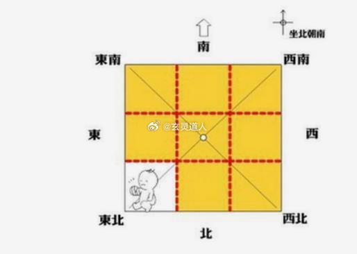 揭秘生肖深层含义，方向交织与人生路径的探寻