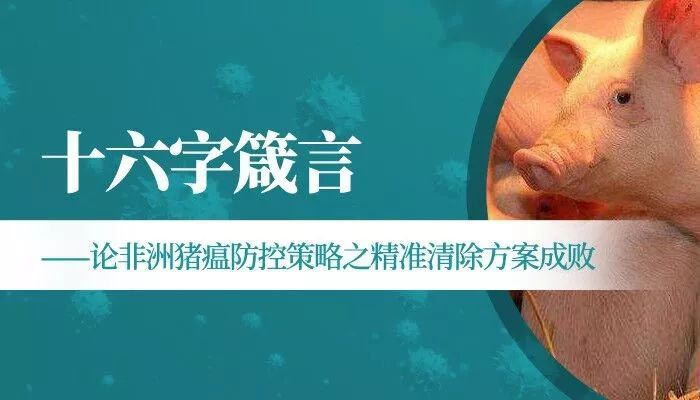 揭秘生肖之谜，精准解读背后的深层含义