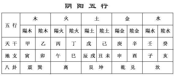 精准生肖解析，相刑利害与四三带五八的奥秘