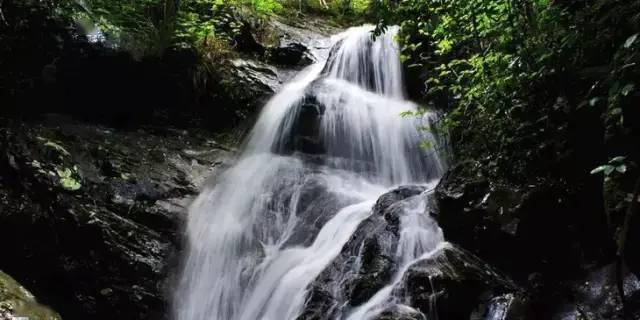 龙山虎山两相朝，生肖奥秘揭秘，情感与风水的综合研究