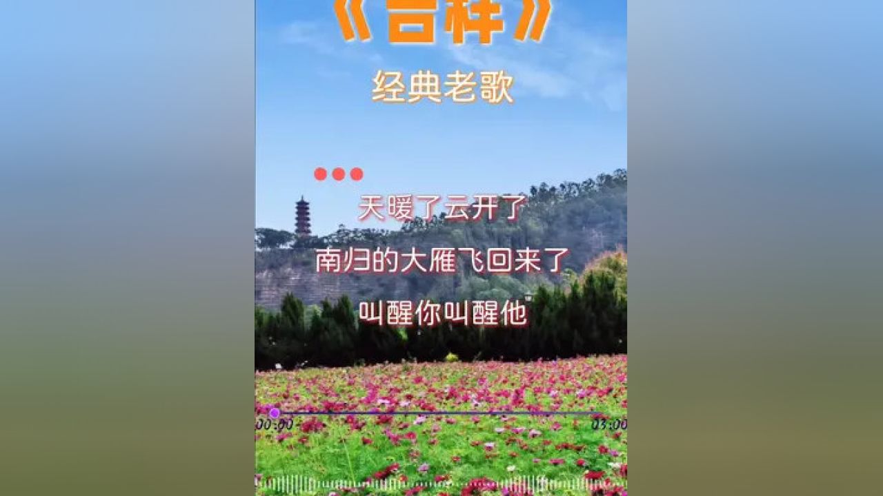 百首经典老歌回顾，国歌老歌曲大全