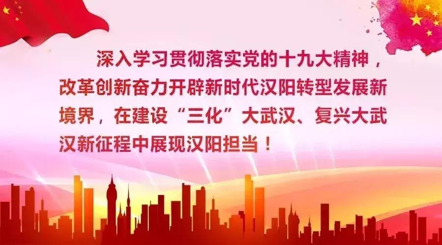 汉阳市人才市场招聘网，人才与机遇的桥梁