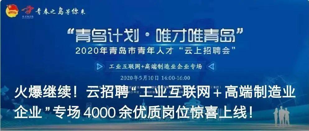 河北青年人才网招聘盛宴，探寻未来职场新星