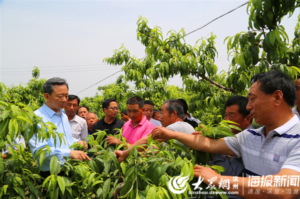 果树人才市场招聘网，连接果树产业与人才的桥梁