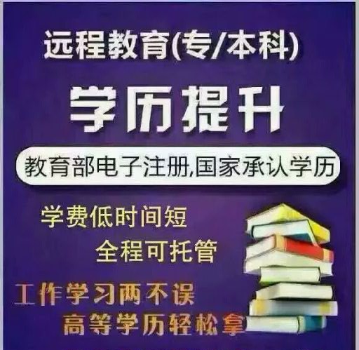 河南成人自学考试网，成人自我提升与终身学习的助力平台