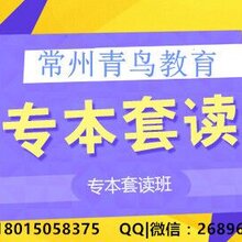 河北成人自学考试网，助力成人自我提升，实现梦想之门