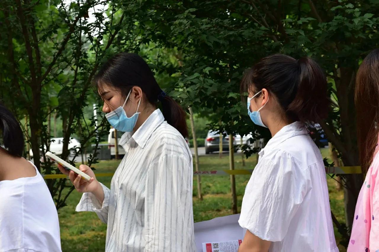 河南专升本成绩排名，教育进步的足迹探索