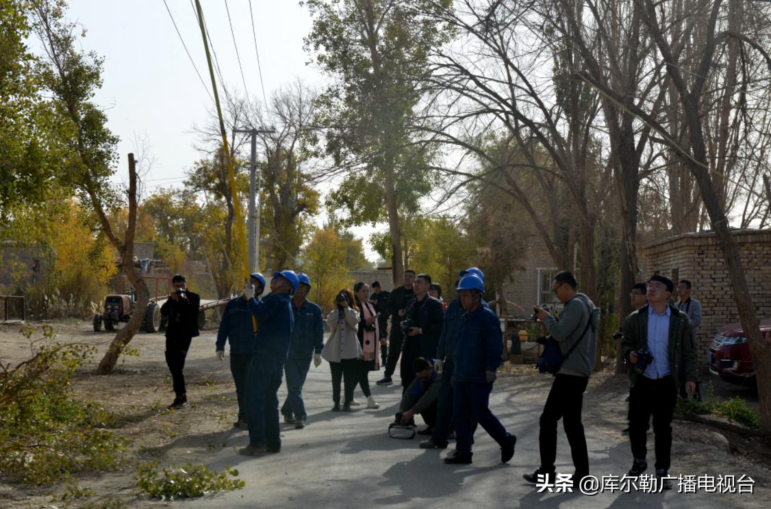 电力人才汇聚与管理平台，国家电力人才网登录服务上线