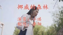 经典老歌曲的魅力与回忆，好音乐推荐