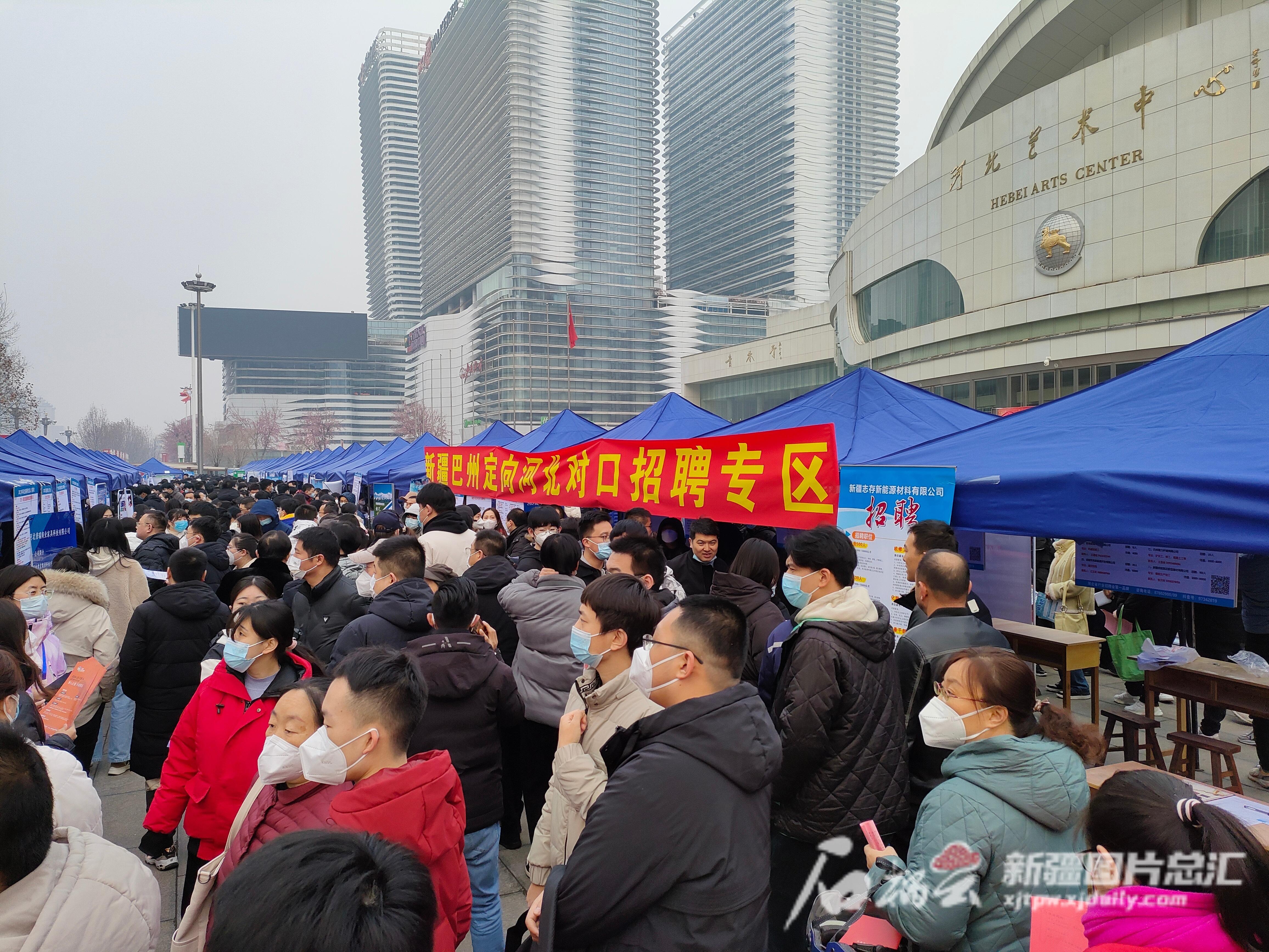 河北人才网最新招聘动态，职场黄金机会来临