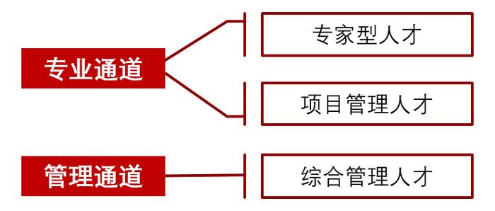 海林人才网最新招聘信息，探索职业发展的黄金路径