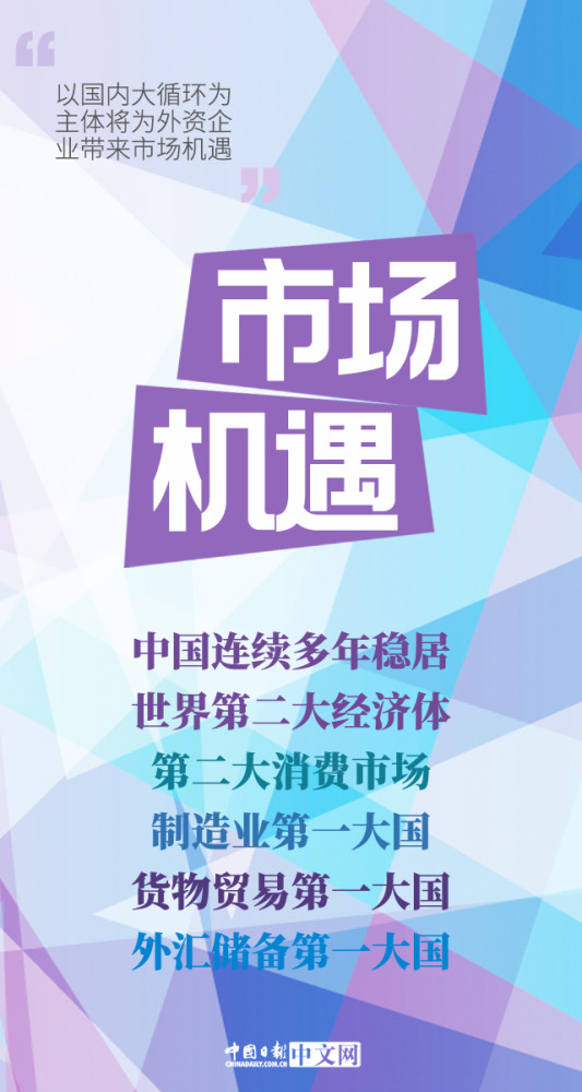 海南白龙人才市场招聘，人才与机遇的交汇盛宴