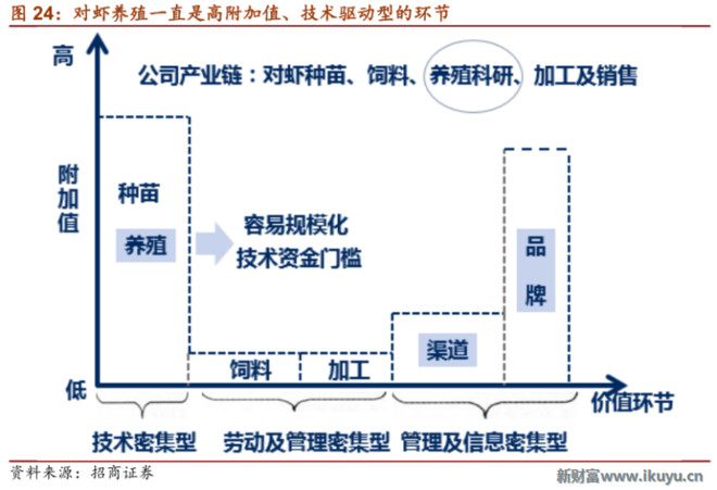 海口宠物人才招聘网站，连接宠物产业与人才的桥梁