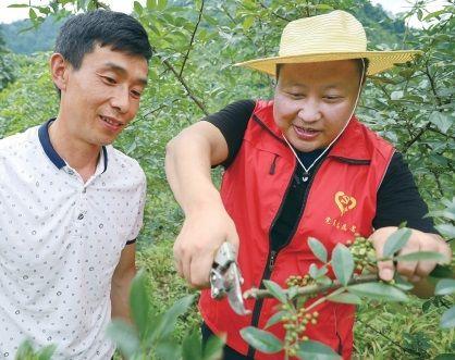 贵州省人才网，人才与机遇的桥梁平台