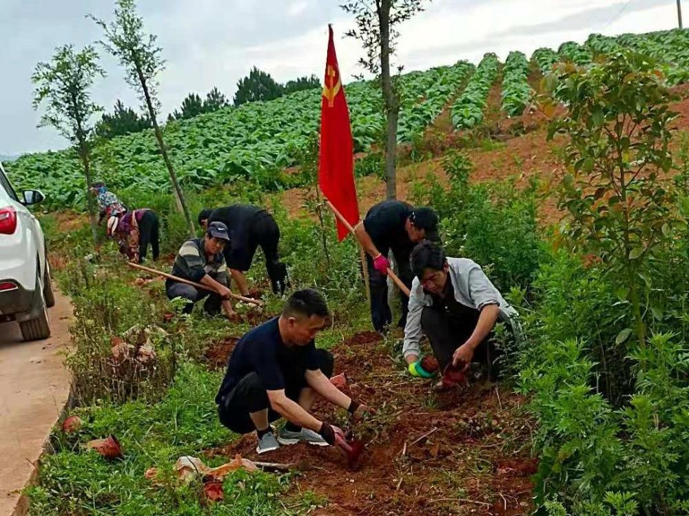 河东经典老歌，岁月长河中的旋律记忆回响