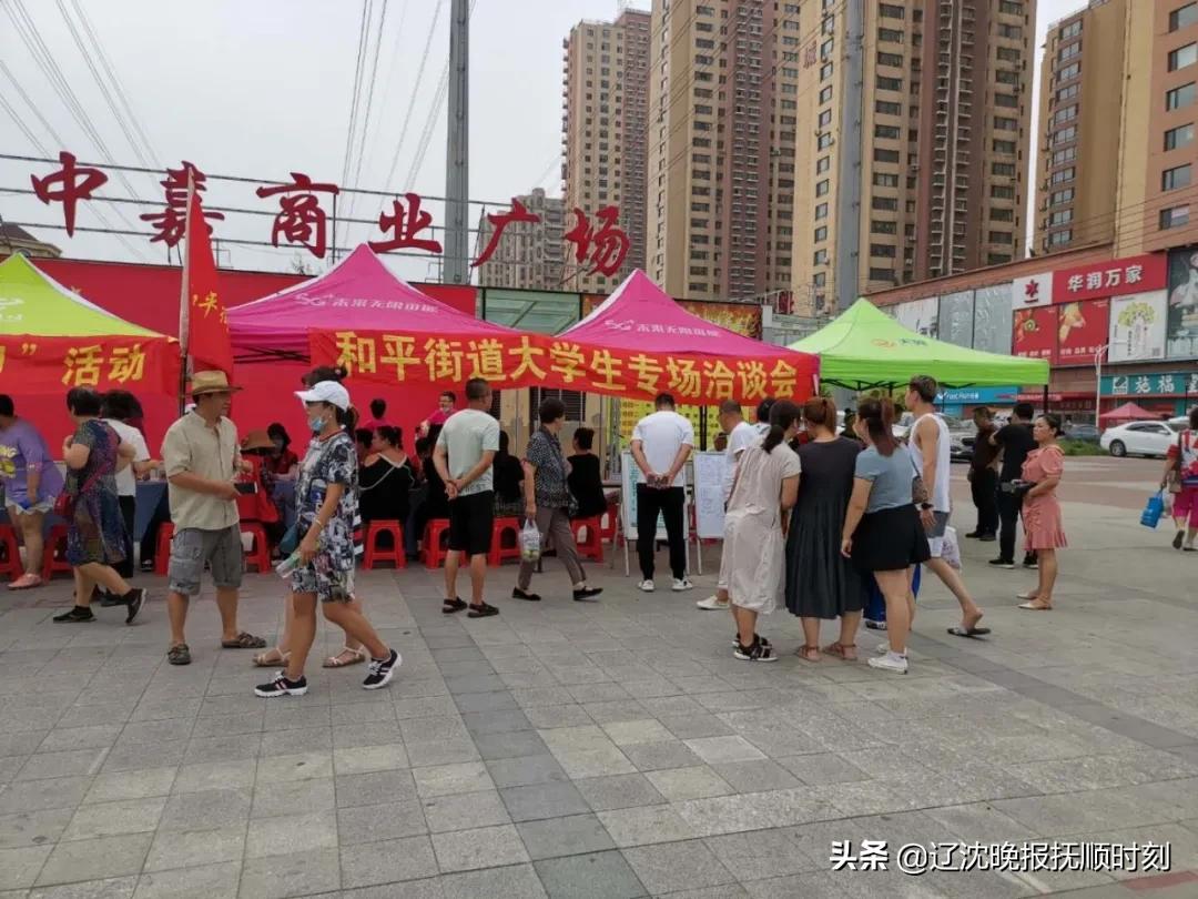 和平人才工作招聘信息网，连接人才与机遇的桥梁平台