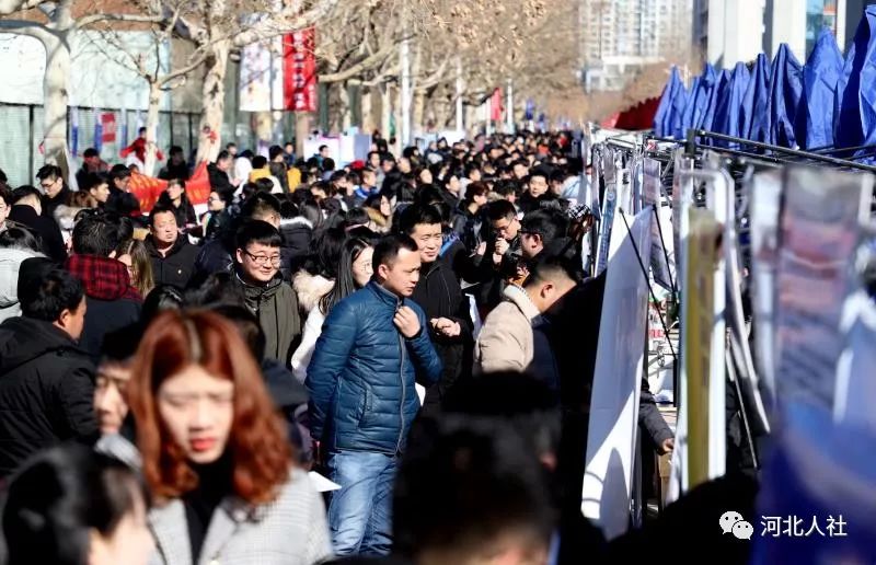 河北省人才市场招聘会，人才与机遇的聚焦盛会