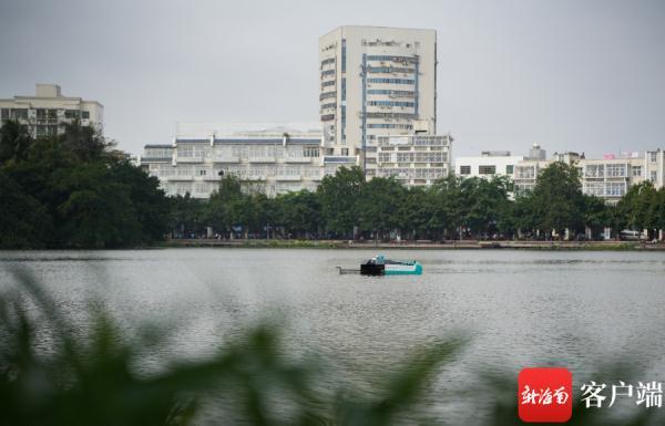 海口人力资源招聘网，企业人才的桥梁与纽带