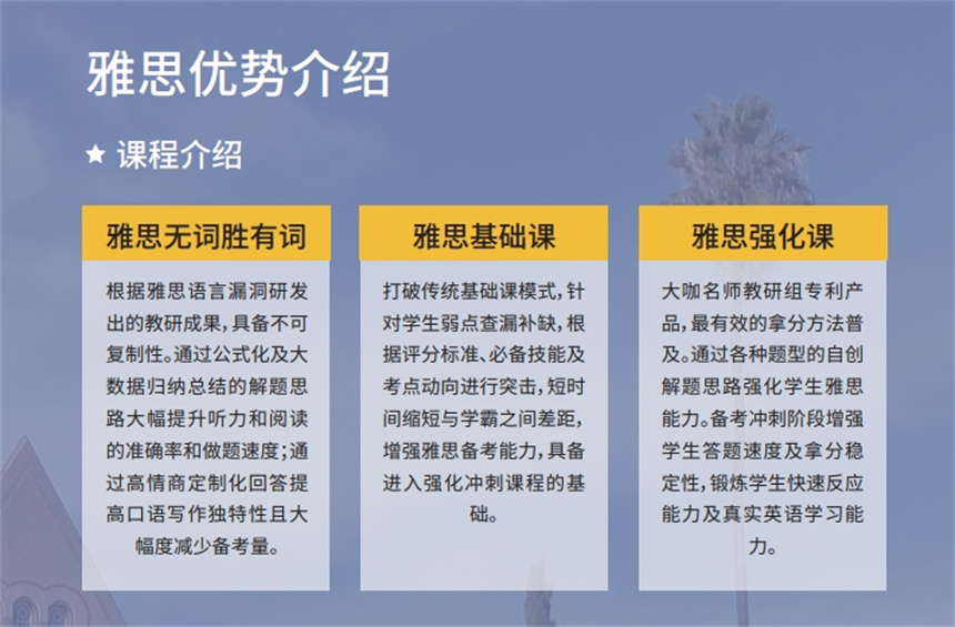 海口雅思在线培训价格详解，解读与选择策略