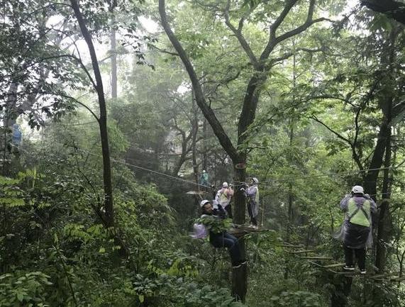 贵州铜仁公务员报考条件全面解析