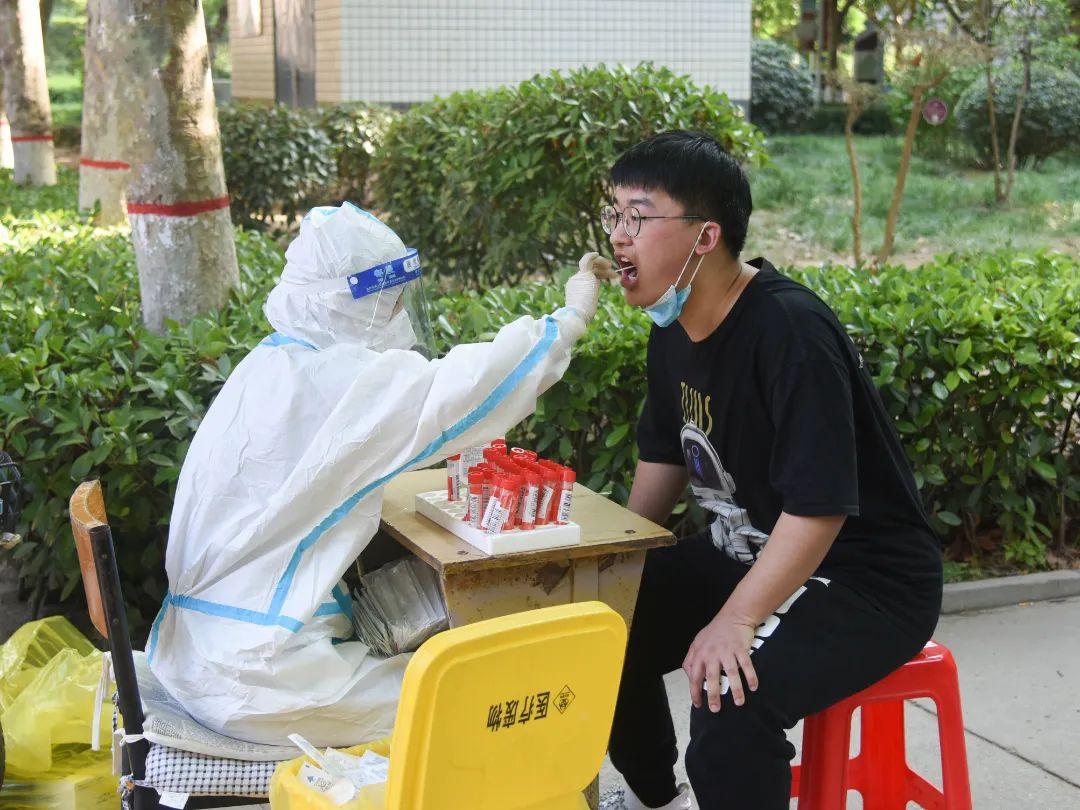 河南考生专升本之路，挑战与机遇同行