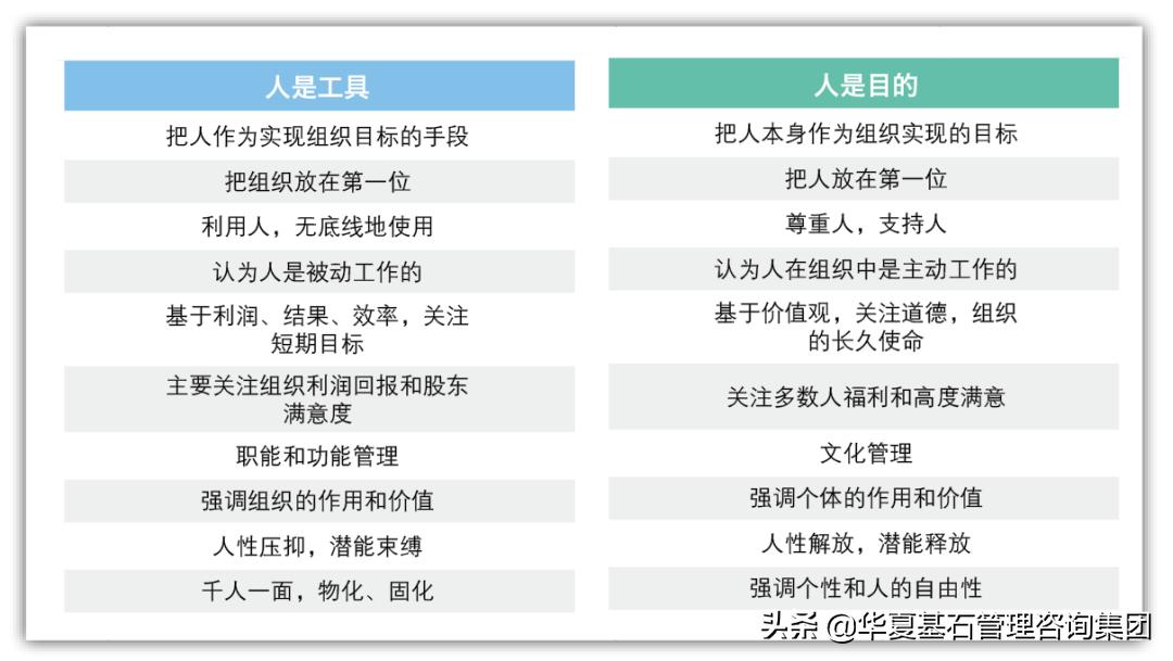 海尔路人才市场招聘，人才与机遇的交汇盛宴