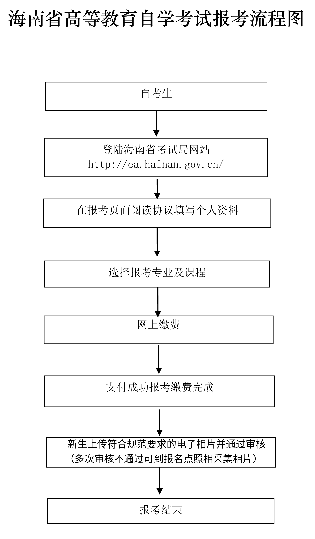 海南考试局自学考试网，深入探索与全面解析